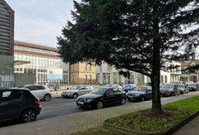 Foto 11