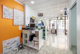 Foto 7