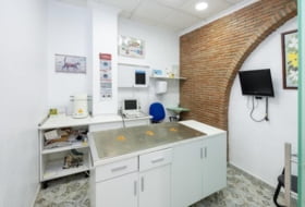 Foto 11