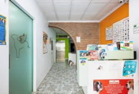 Foto 12