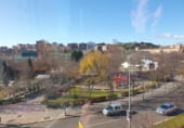 Oficina
en lloguer
amb 140m² a Valladolid, a la zona de Camp Gran, paseo zorrilla foto