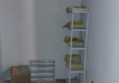 Oficina
en venda
amb 540m² a Elx foto