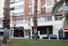 Foto 12