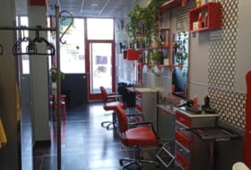 Foto 7