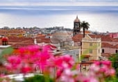 348m² commercial premises for sale in La Orotava, soledad covian, 24, 38300 photo