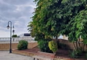 Local comercial en venta con 181m² en La Cisnera, Avenida La Marina foto
