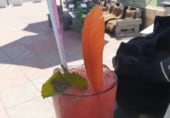 38m² bar for sale in Salou, Carrer de Brussel.les photo