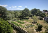 Restaurant
en venda
amb 1007m² a el Vendrell, Carrer de la Migdiada foto