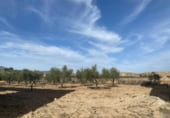1000m² entrepôt pour vente à Pinoso, Carretera de Jumilla photo