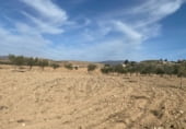1000m² entrepôt pour vente à Pinoso, Carretera de Jumilla photo