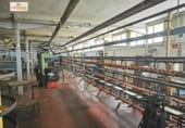 Nave Industrial en venta con 2800m² en Elche foto