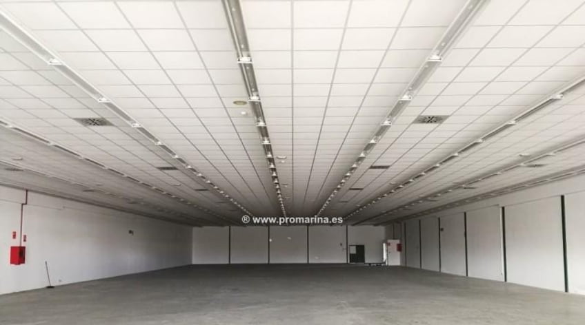 Nave