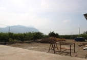1141m² entrepôt industriel pour vente à Redován, Barrio San Carlos photo