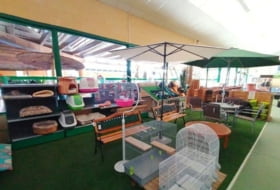 Foto 6