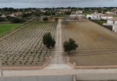 Nave Industrial en venta con 203m² en Chiclana de la Frontera, Camino de las Canteruelas Bajas foto