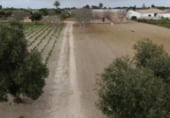 Nave Industrial en venta con 203m² en Chiclana de la Frontera, Camino de las Canteruelas Bajas foto