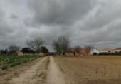 Nave Industrial en venta con 203m² en Chiclana de la Frontera, Camino de las Canteruelas Bajas foto