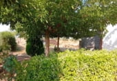 Nau Industrial
en venda
amb 330m² a Pozuelo de Calatrava, Calle de Alarcos foto