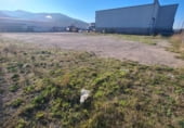 Nau
en venda
amb 1330m² a Sant Celoni, Carrer de Montserrat Roig foto
