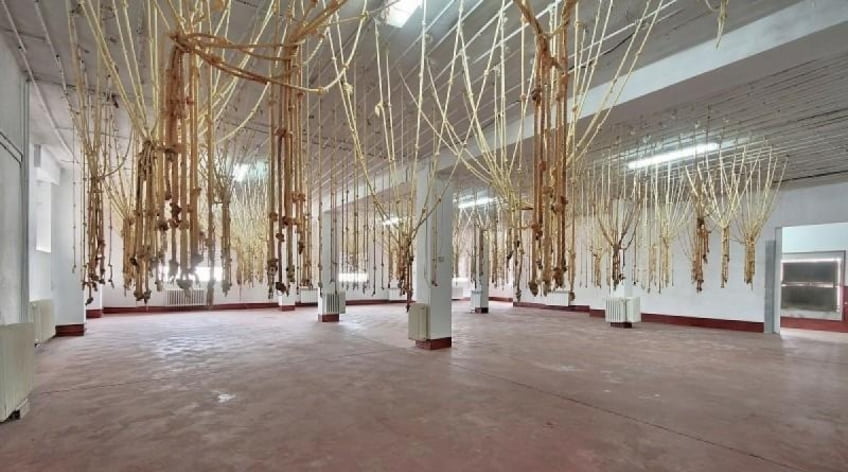 Nave