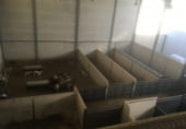 Nau Industrial
en venda
amb 1458m² a Jaén, Vía Verde del Aceite foto