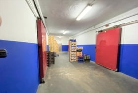 Foto 19