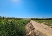 Nave Industrial en venta con 1236m² en Aitona, Madrid foto
