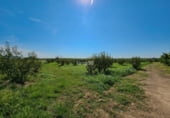Nave Industrial en venta con 1236m² en Aitona, Madrid foto