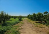 Nave Industrial en venta con 1236m² en Aitona, Madrid foto