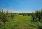Nave Industrial en venta con 1236m² en Aitona, Madrid foto