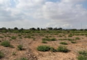 2355m² entrepôt industriel pour vente à Carthagène, dans le quartier de Las Lomas, Pasaje Lomas photo