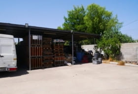 Foto 15