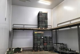 Foto 10