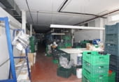 Nave Industrial en venta con 1840m² en Petrer, Avenida Sierra del Montgó foto