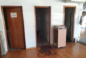 Foto 7