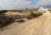 Nave Industrial en venta con 2000m² en Crevillente, Avenida de Sant Vicent Ferrer foto