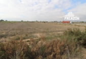 Nave Industrial en venta con 2000m² en Crevillente, Avenida de Sant Vicent Ferrer foto