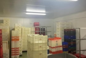 Foto 9