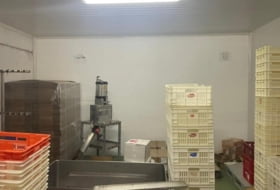 Foto 12