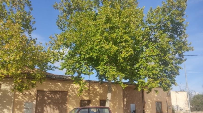 Nave