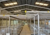 Nau Industrial
en venda
amb 2606m² a Jerez de la Frontera, Avenida Alcalde Cantos Ropero foto