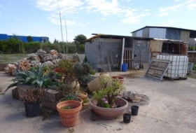 Foto 14