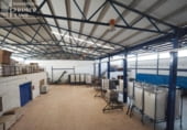Nave Industrial en venta con 1872m² en Tomelloso, Carretera de Socuéllamos foto