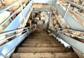 893m² warehouse for sale in Lluchmayor, Carrer d'Antoni Mut photo