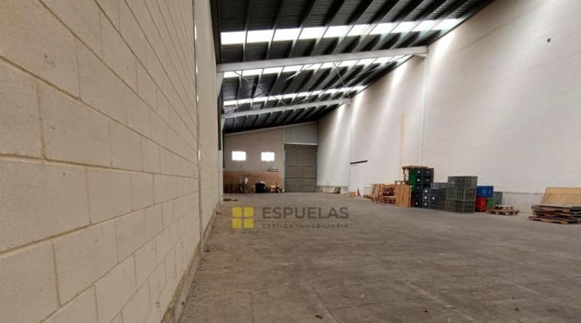 Nave