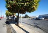 Local comercial
en venda
amb 334m² a Sant Miquel de les Salines, Calle Quevedo foto