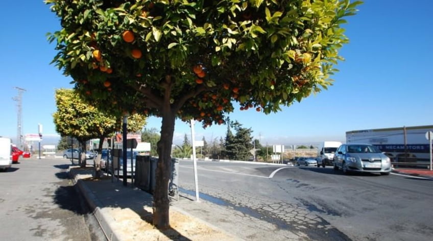 Local comercial