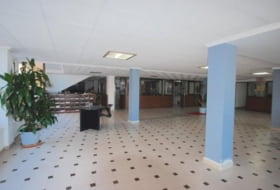 Foto 9