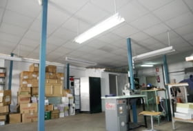 Foto 8