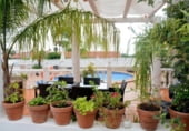 Hotel
en venda
amb 360m² a Calp, Calle Benicolada foto